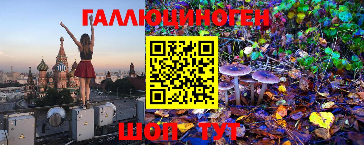 Гуково  Псилоцибиновые грибы мухоморы  Галлюциногенные грибы прущие грибы  Вход с VPN 