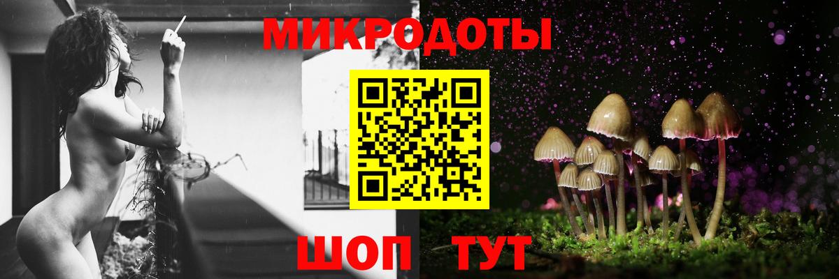 Галлюциногенные грибы Psilocybine cubensis Гуково